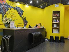 -杨梅红艺术教育(万象城校区)