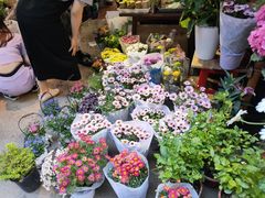 -循礼门鲜花花市(武汉循礼门店)