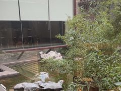 -竹雨堂创意中国菜(裕华店)