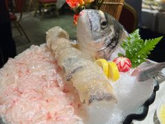 -渔意如意·首创金鲷顺德鱼生
