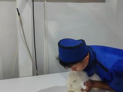 -瑞派名望24h动物医院异宠专科·猫专科·骨科·重症监护分院