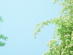 -颐和路民国时期公馆风貌区