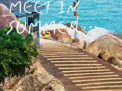 -广东惠东海龟国家级自然保护区