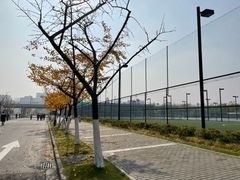 -南京航空航天大学(将军路校区)