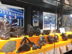 -志强陨石馆(双季花艺店)