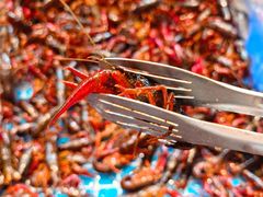 -黑金·寻焰自助百汇·烤肉·火锅(中街店)