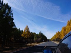 -塞罕坝国家级自然保护区