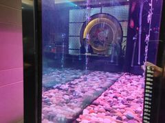 -大唐盲人按摩中心(天山路店)