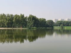 -森林公园(尖草坪区)