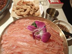 -小龙坎火锅(春熙太古里店)