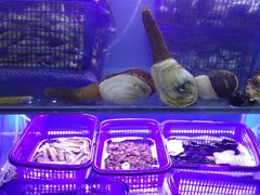 -老虎滩大连海鲜烧烤(建邺云锦路总店)