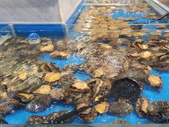 -川骄海鲜自助(河东店)