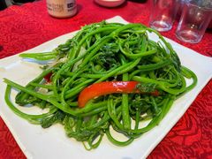 -粤北餐馆