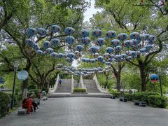 -桂林市榕杉湖景区