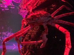 -暹罗海洋世界