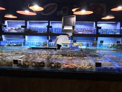 水产区-徐记海鲜(大明宫|北二环店)