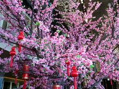 -金轩中餐厅 Jin Xuan(浦东丽思卡尔顿酒店)