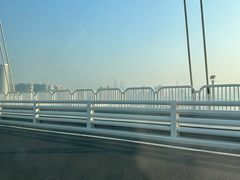 -芸山季·云南山珍菌火锅(人民广场来福士店)