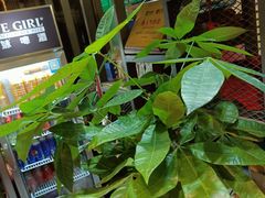 -湘当爱·鲜煮现炒(松岗立业路店)