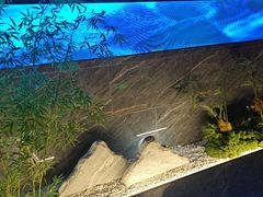 -华夏良子·足道SPA艾灸(金皇大厦店)