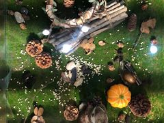 -初拾·花里餐厅(钜城华亿店)