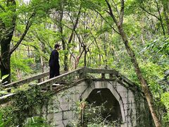-青龙山国家森林公园