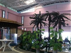 -商河温泉酒店