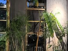-云境生态园(红谷滩店)