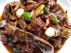 -天鹅到家·保姆月嫂育儿嫂(总店)