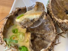 -海胆小馆(东北水饺·春柳店)