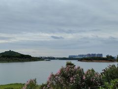 -立新湖公园