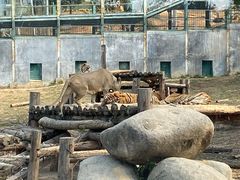 -泉州海丝野生动物世界