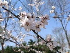 -大兴滨河森林公园