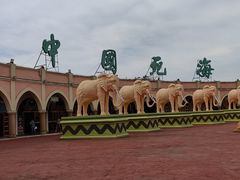 -中国死海旅游度假区