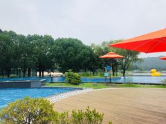 -上海佘山世茂艾美酒店