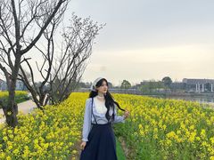 -杭州湾海上花田景区