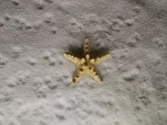 -青岛贝壳博物馆