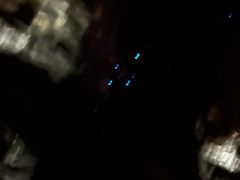 -怀托摩萤火虫洞