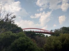 -金鸡山公园
