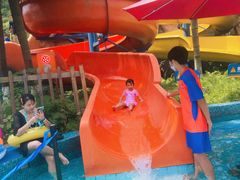 -重庆海昌加勒比海水世界