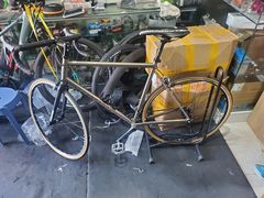 -道路口单车爱瓦士dahon大行