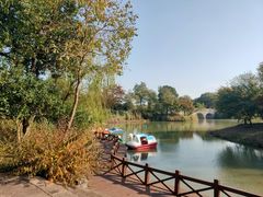 -梁鸿国家湿地公园