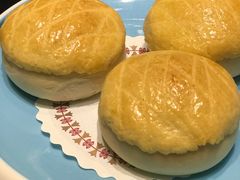 -新兴·金羊座·粤菜点心(乐峰店)