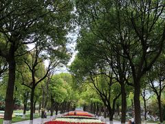 -上海鲜花港