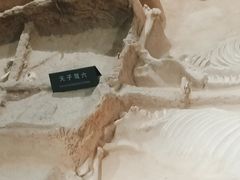 -洛阳周王城天子驾六博物馆