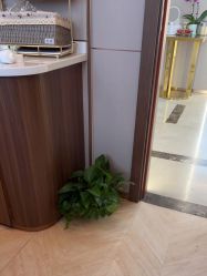 -杭州米兰柏羽医疗美容医院