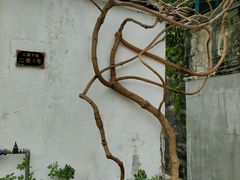 -三溪村