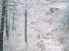 -崂山巨峰游览区