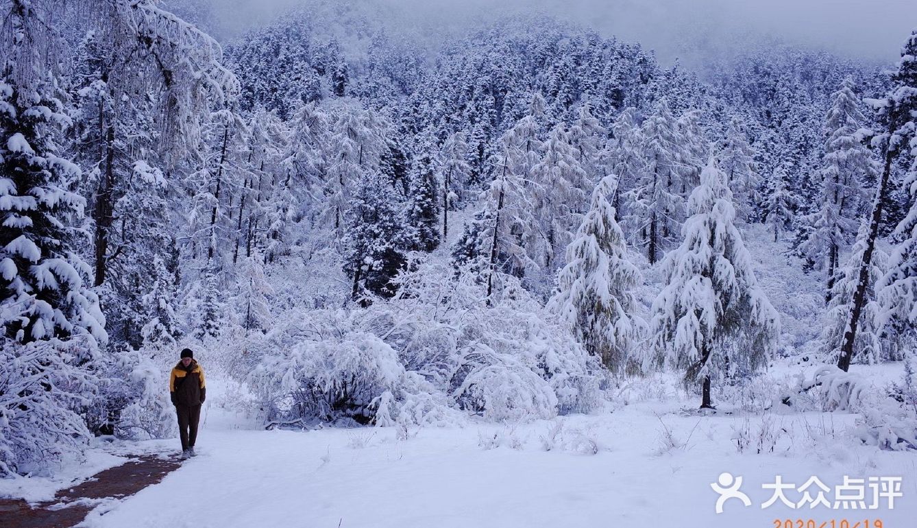 成都周边游[加油]冰雪奇缘毕棚沟攻略