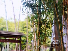 -江南天池高山汤泉城